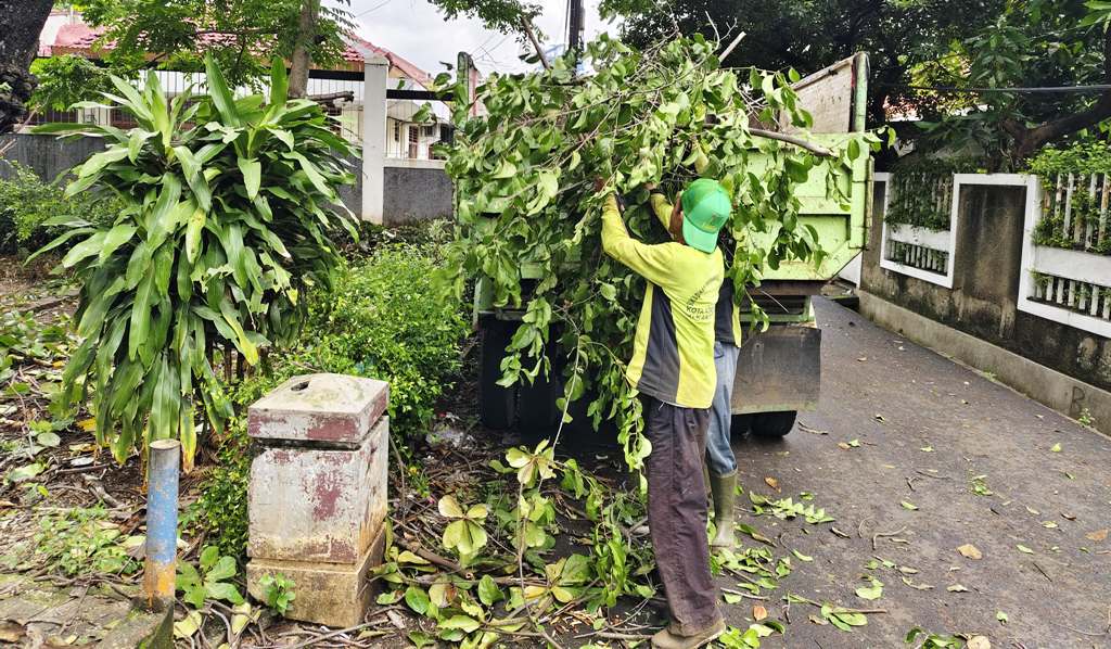 Sudis Tamhut Jakbar Tangani 985 Pohon Sepanjang Oktober 2025